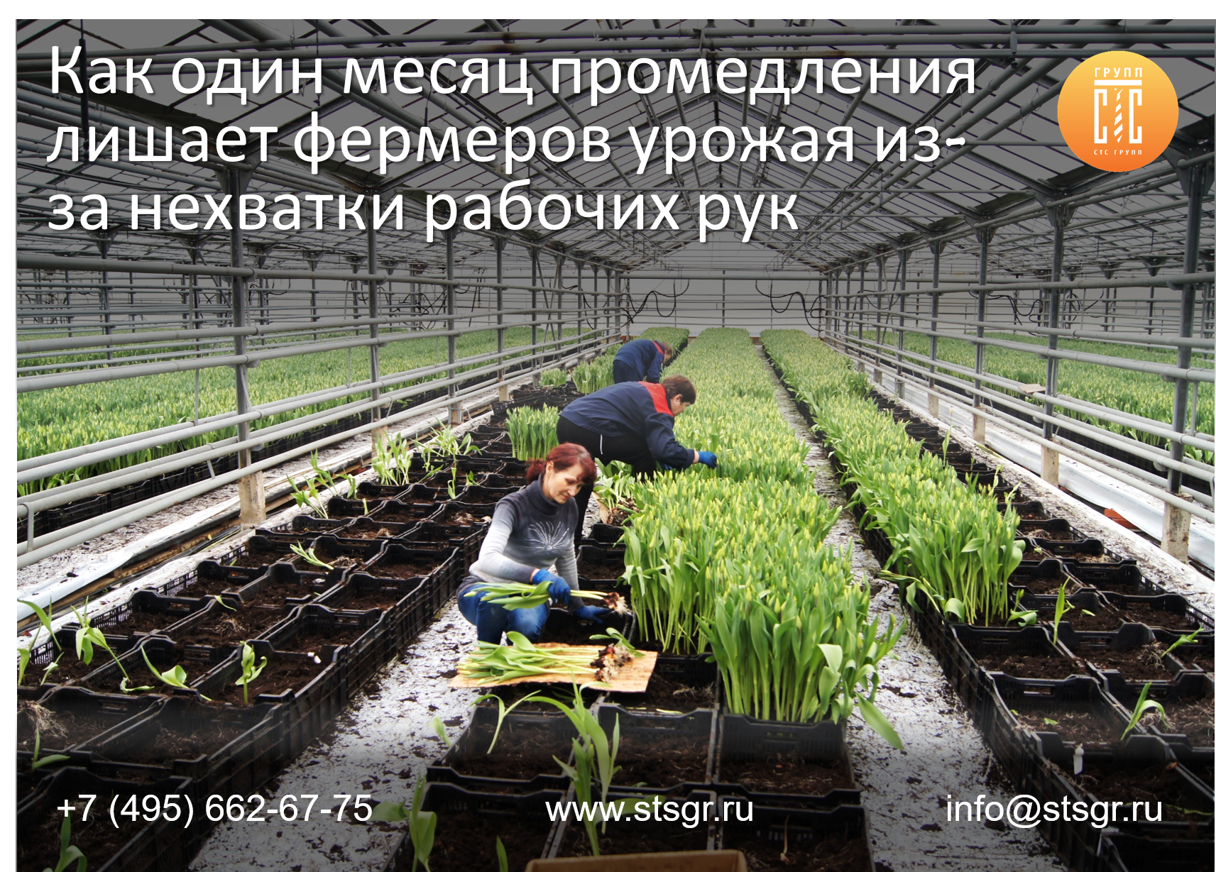 АПК.png